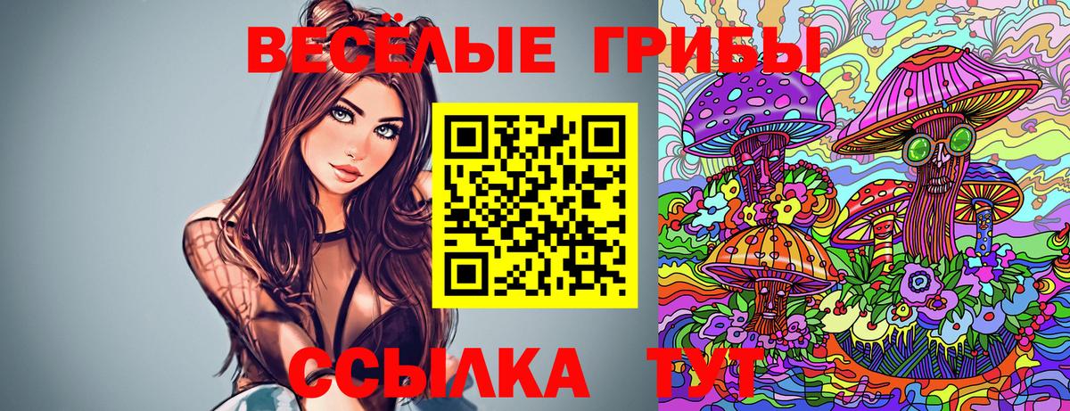Галлюциногенные грибы Psilocybe Кемерово