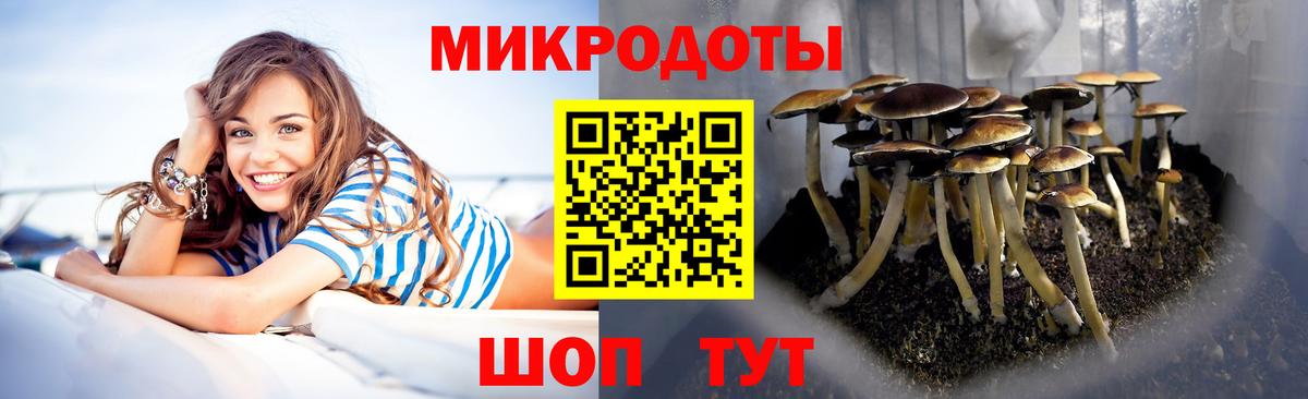 Кемерово  Галлюциногенные грибы мухоморы  Вход с VPN 